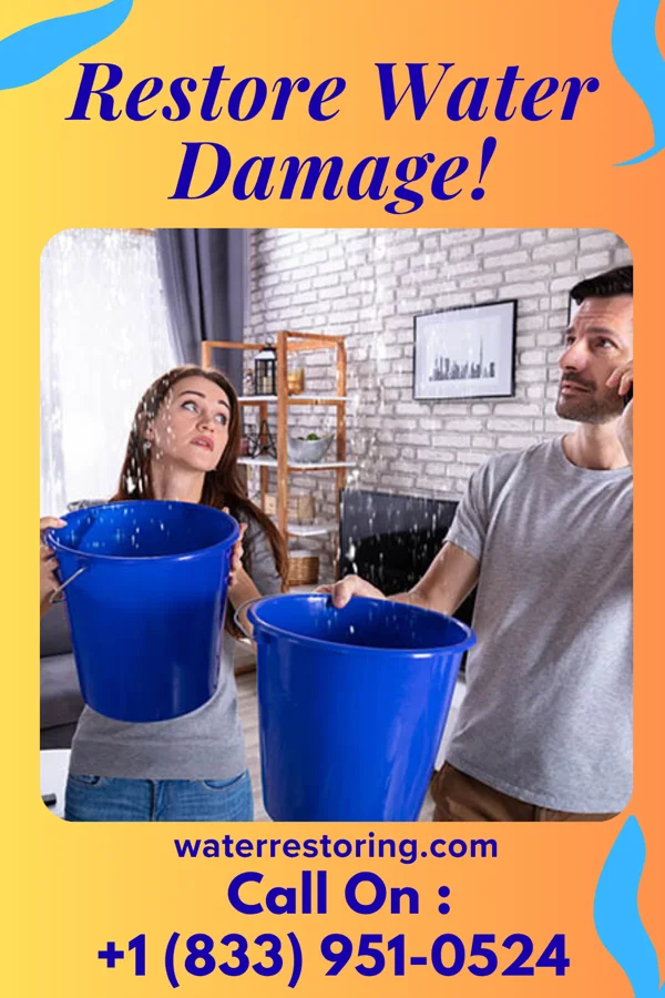water restoration Local Emergency Restoration Contractors Laplace